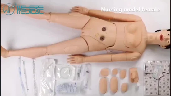 응급 훈련 의료용 외상 시뮬레이션 CPR 마네킹